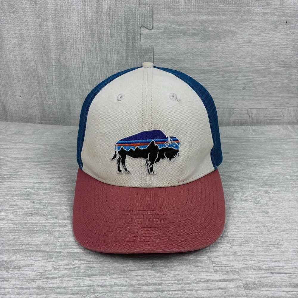 Patagonia Trucker Hat Cap Snapback Mesh Back Bison Fitz Roy Mountain Logo